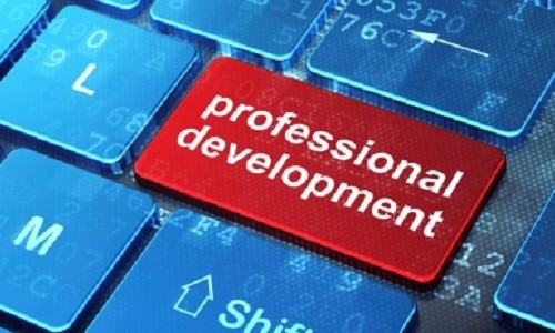 professional-development-500x300