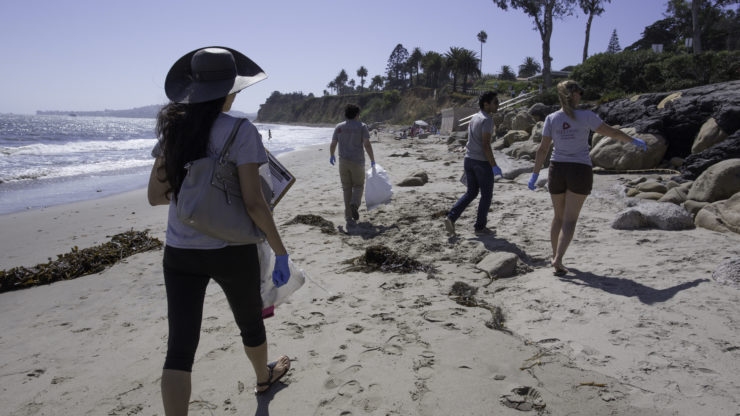 Beach-Cleanup