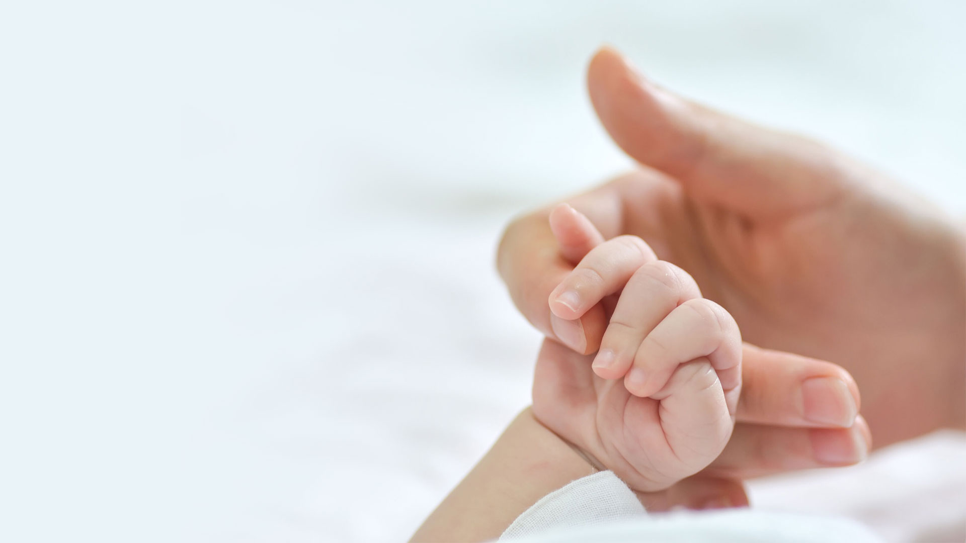 Mother's hand holds baby's hand against a white background.